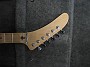 IMGA0451