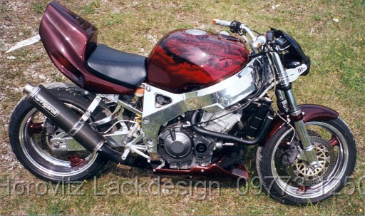 BikeHorovitz (16).bmp