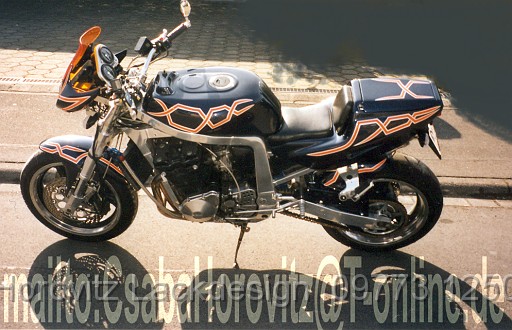 BikeHorovitz (28).bmp