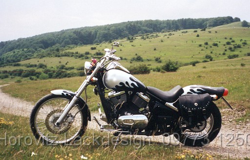 BikeHorovitz (42).bmp