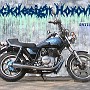 BikeHorovitz (1)