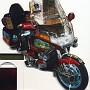 BikeHorovitz (10)