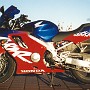 BikeHorovitz (115)
