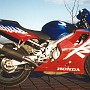 BikeHorovitz (116)