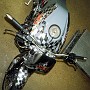 BikeHorovitz (12)