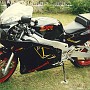 BikeHorovitz (126)
