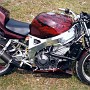 BikeHorovitz (16)