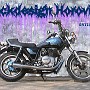 BikeHorovitz (2)