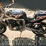 BikeHorovitz (28)