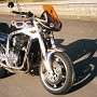 BikeHorovitz (33)