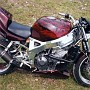 BikeHorovitz (35)