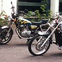 BikeHorovitz (39)