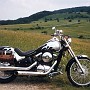 BikeHorovitz (41)