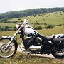 BikeHorovitz (42)