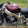 BikeHorovitz (44)