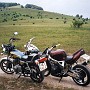 BikeHorovitz (48)