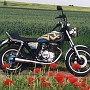 BikeHorovitz (50)