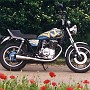 BikeHorovitz (51)