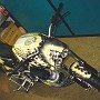 BikeHorovitz (75)