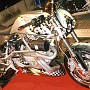 BikeHorovitz (76)