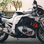 BikeHorovitz (88)