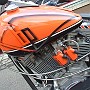 BikesHorovitz (10)