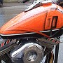 BikesHorovitz (11)