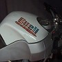 BikesHorovitz (12)