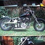 BikesHorovitz (29)