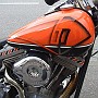 BikesHorovitz (9)