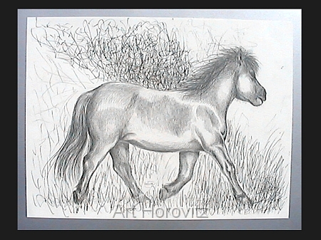 Pferde-Trabende Pony268.JPG